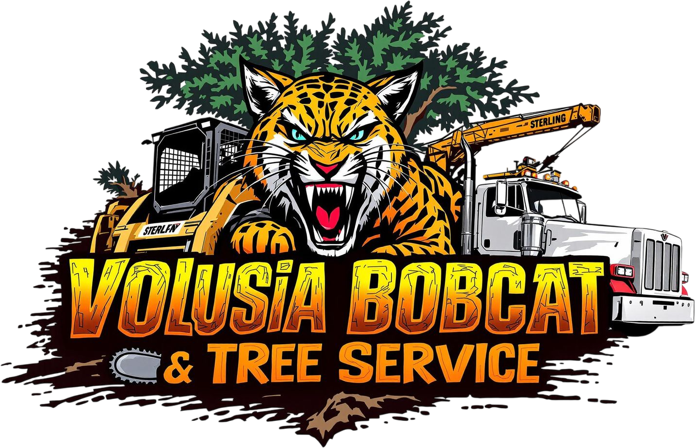 Tree Service Near Me | Volusia Bobcat & Tree Service